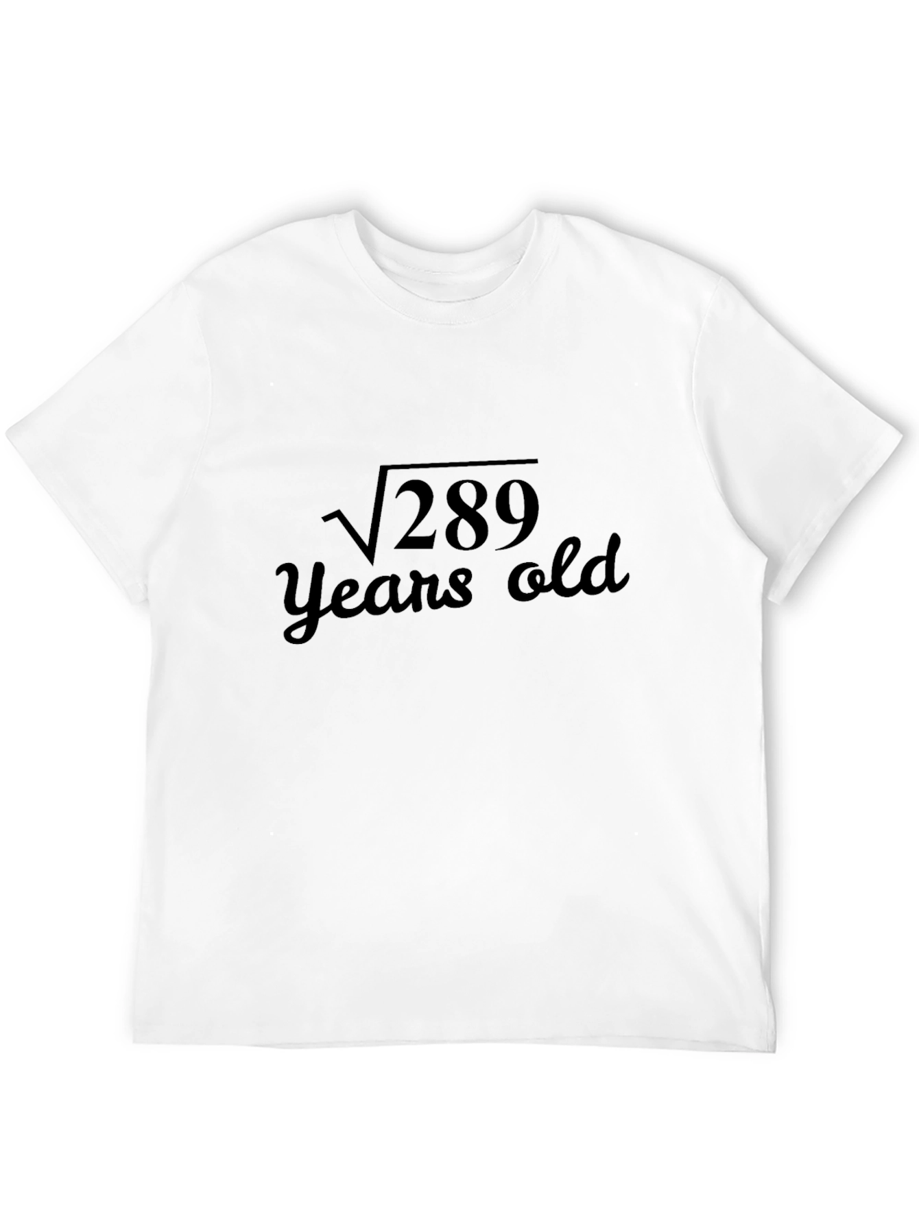 Funny 17th Birthday Math T-Shirt