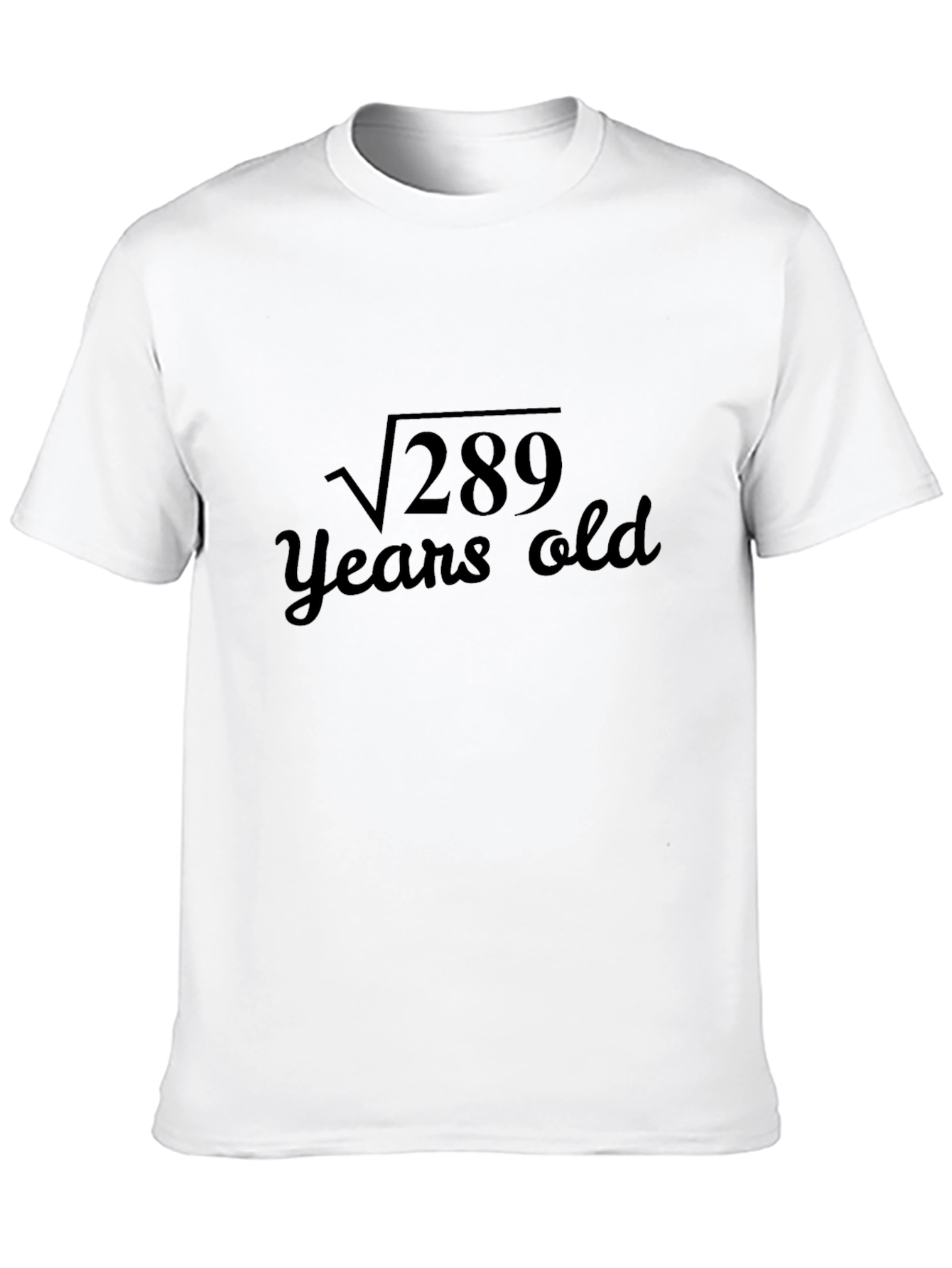 Funny 17th Birthday Math T-Shirt