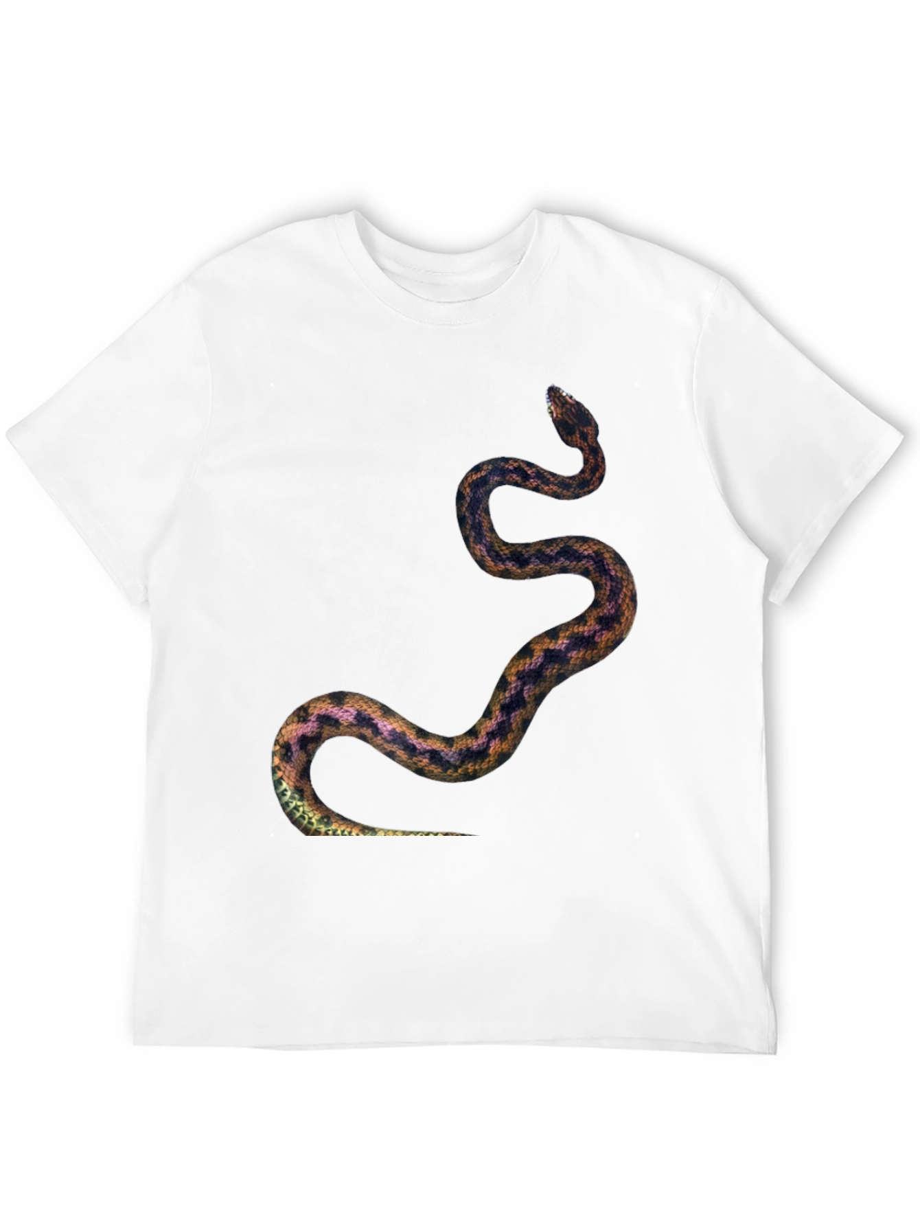 Snake Print Tee - Black Graphic T-Shirt
