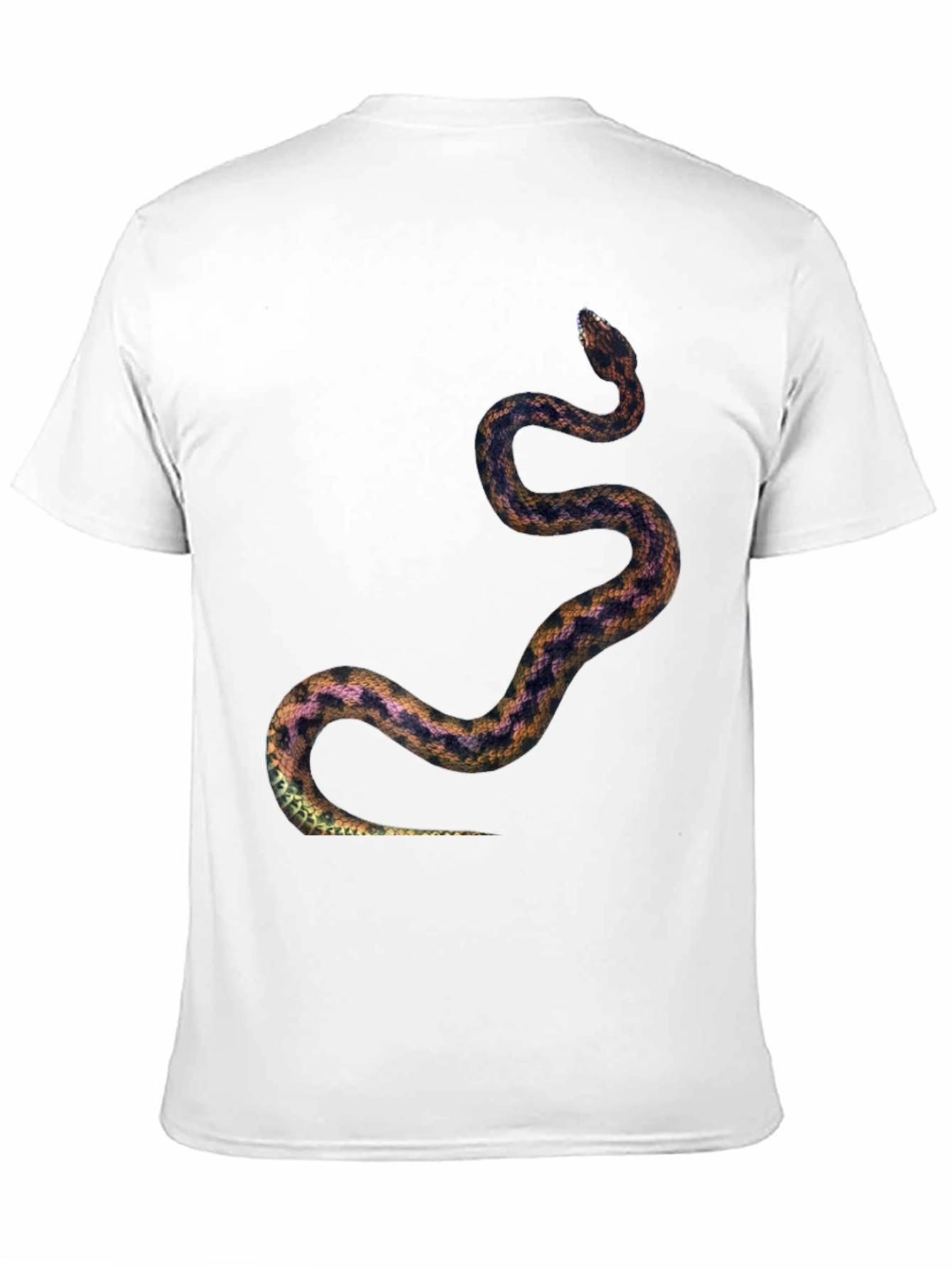 Snake Print Tee - Black Graphic T-Shirt