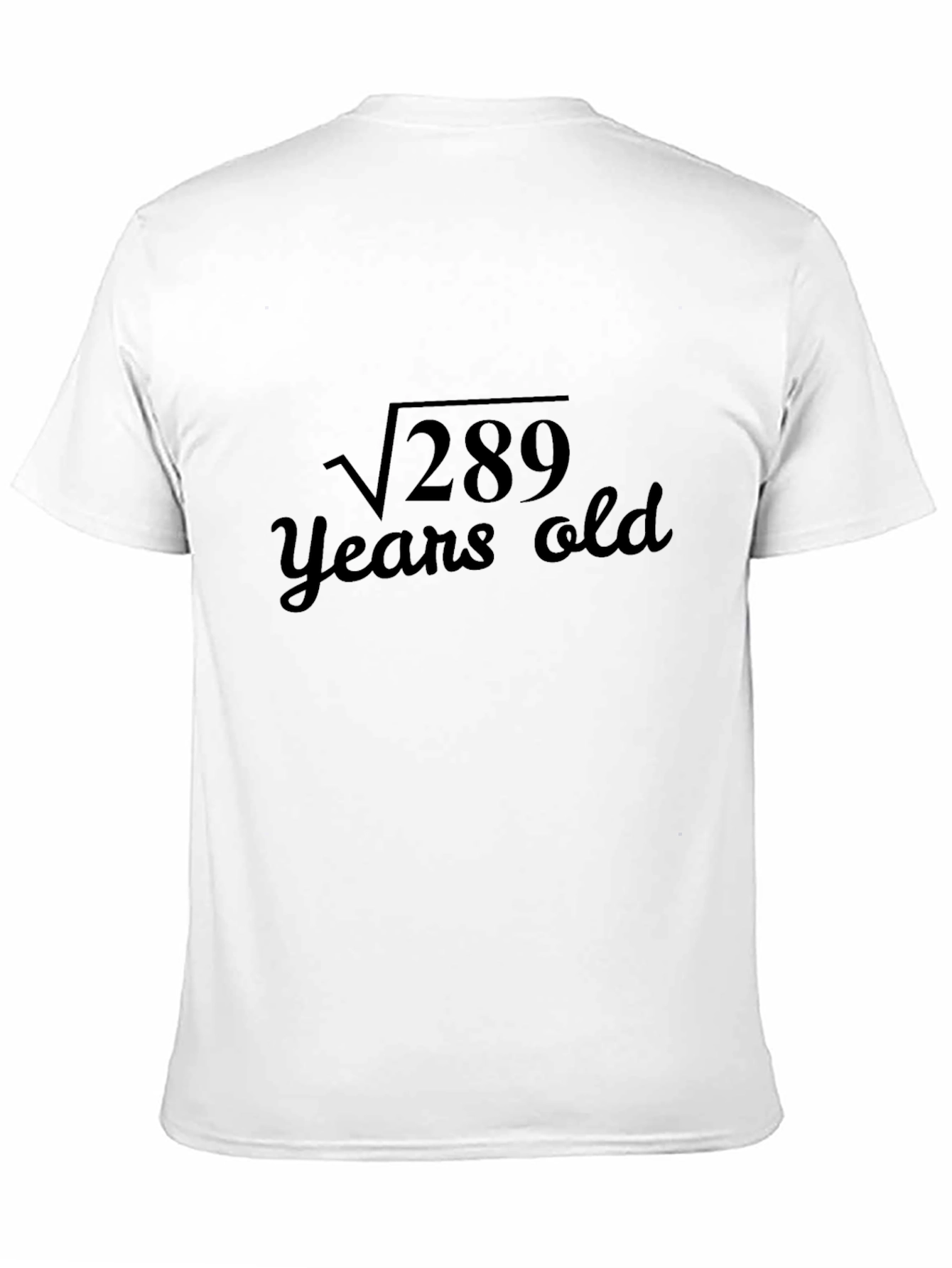Funny 17th Birthday Math T-Shirt